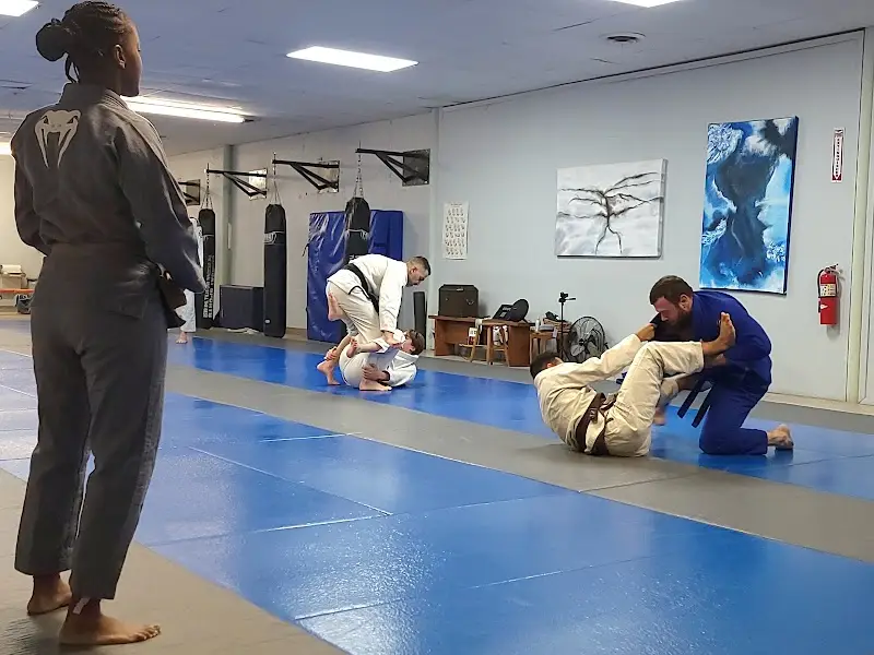 Select Jiu Jitsu Academy BJJ Academy - photo 2