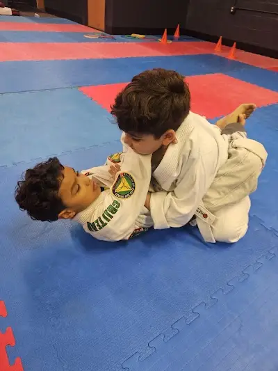 SELVA BJJ ACADEMY BJJ Academy - photo 2