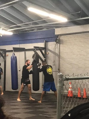 Inside Selva Brazilian Jiu Jitsu and Mixed Martial Arts academy