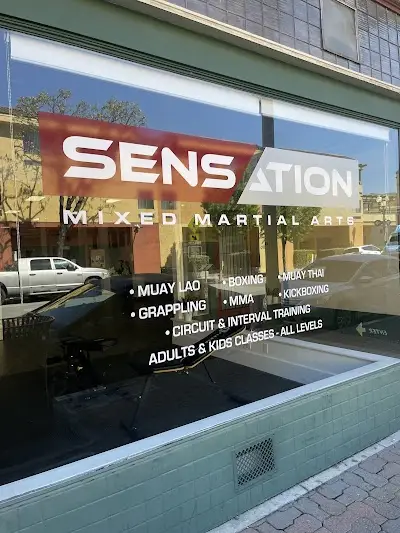 Sensation Mixed Martial Arts BJJ Academy - photo 4