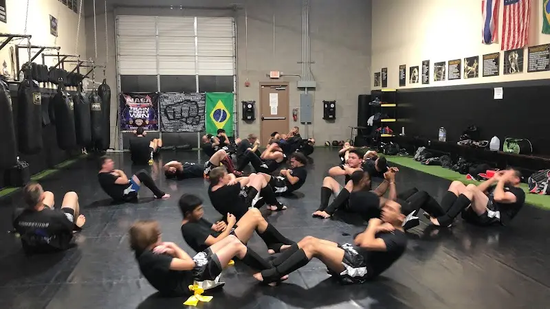 Sentosa Martial Arts and Fitness BJJ Academy - photo 1