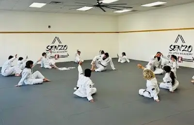 Senzo Jiu-Jitsu Academy BJJ Academy - photo 1