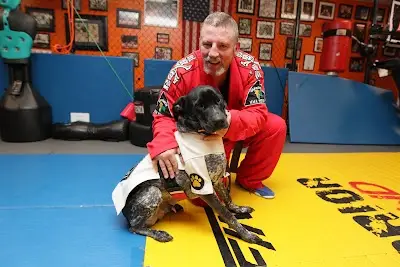 Shaddock Mixed Martial Arts Fitness BJJ Academy - photo 3