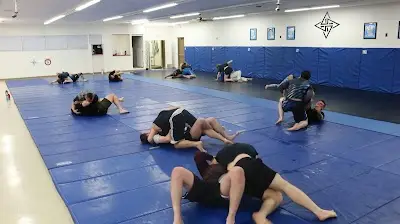 ShadowHouse Jiu-Jitsu