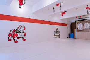 Inside SHBJJ (Hong Kong) Ltd. academy