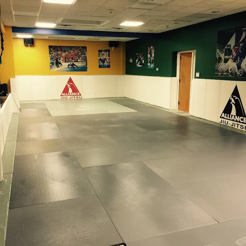 Sheridan Brazillian Jiu Jitsu BJJ Academy - photo 1