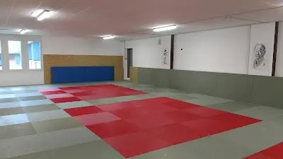 shindokan Luzern BJJ Academy - photo 1