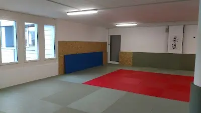 shindokan Luzern BJJ Academy - photo 3