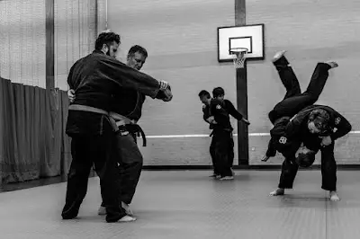 Shirindo Jujutsu