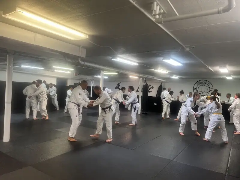 Shogun Fight Co. BJJ Academy - photo 1