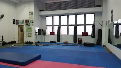 Shogun Fight Gym BJJ Academy - photo 1