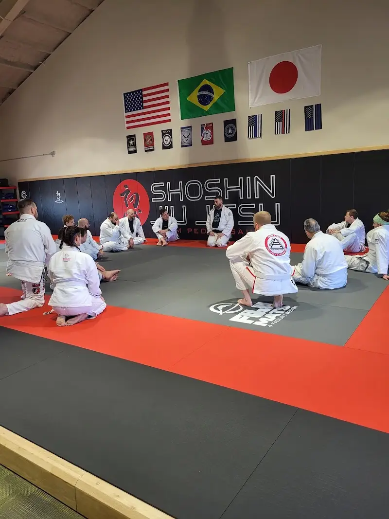 Shoshin Jiu Jitsu BJJ Academy - photo 2