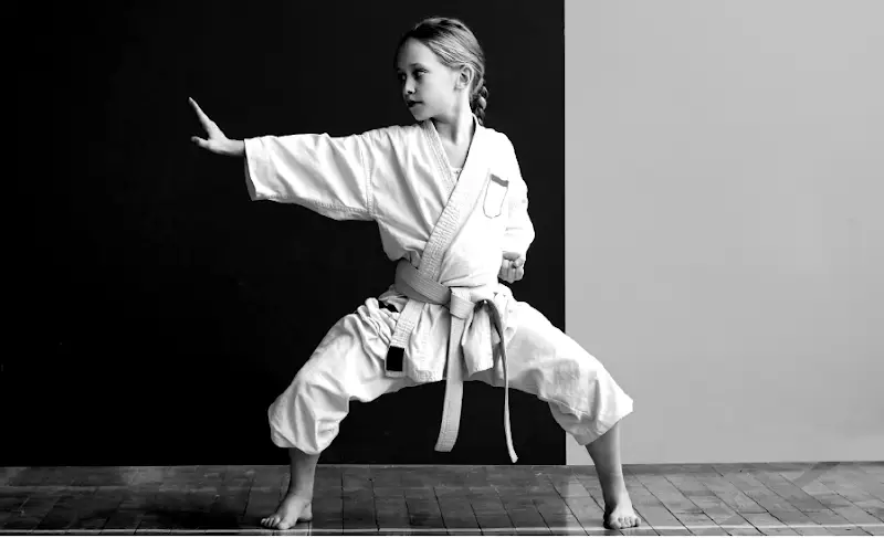 Shoshin Ryu Martial Arts BJJ Academy - photo 1