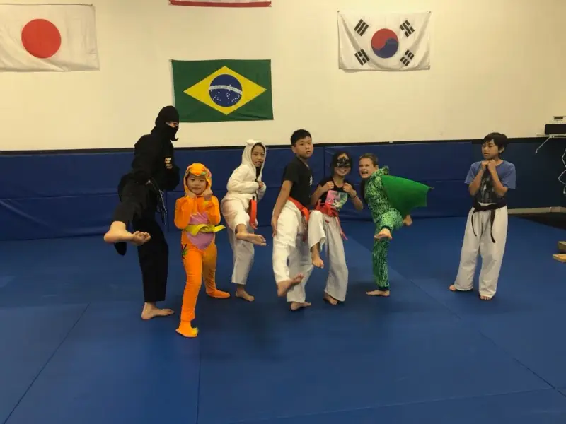 Shoshin Ryu Martial Arts BJJ Academy - photo 2