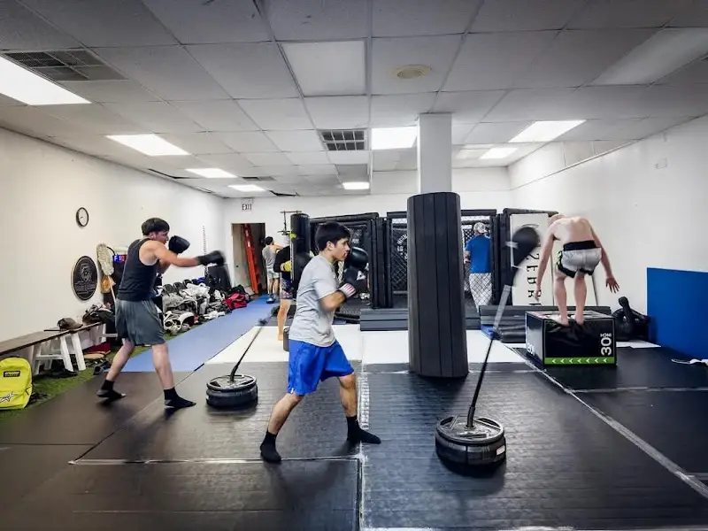 Shumba Combat Sports Academy BJJ Academy - photo 2