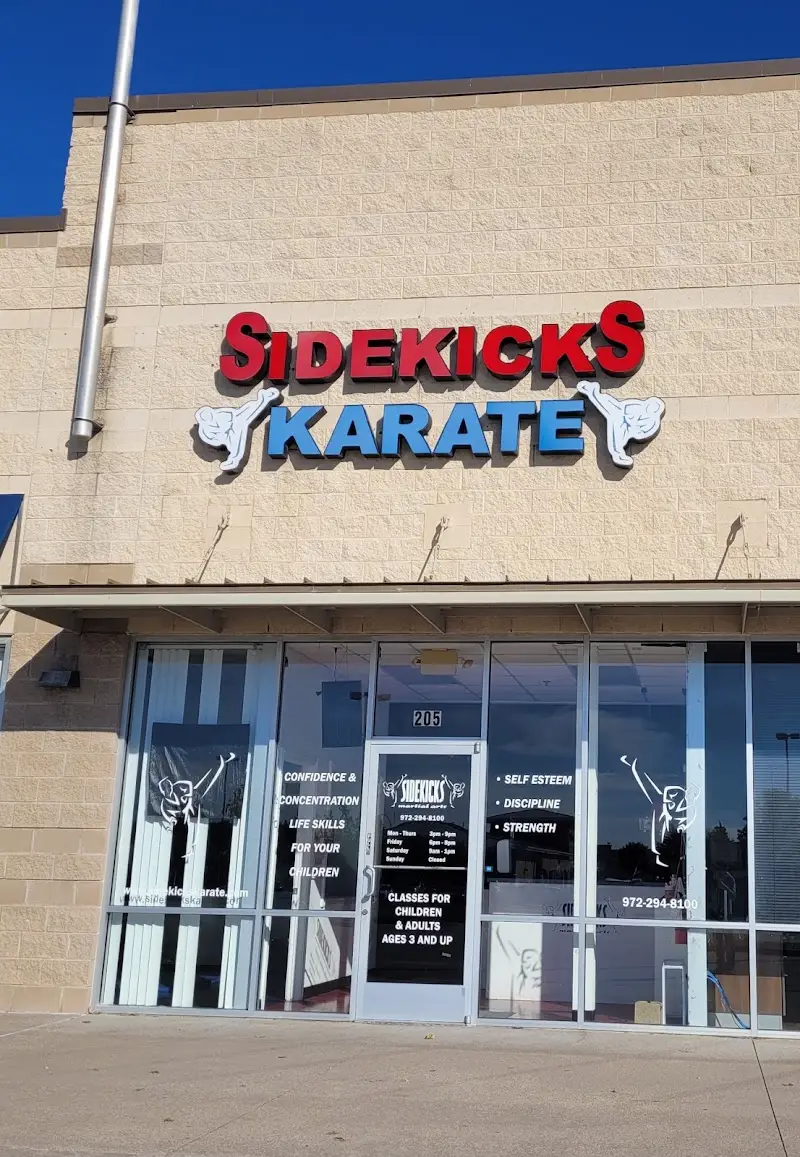 Sidekicks Martial Arts BJJ Academy - photo 2