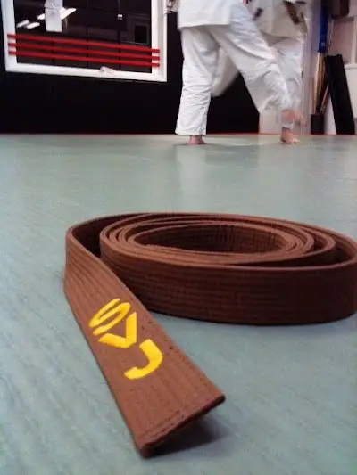 Silicon Valley Judo BJJ Academy - photo 1