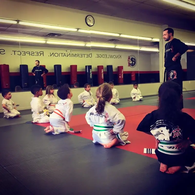 Silva Fusion Mixed Martial Arts & Brazilian Jiu Jitsu BJJ Academy - photo 2