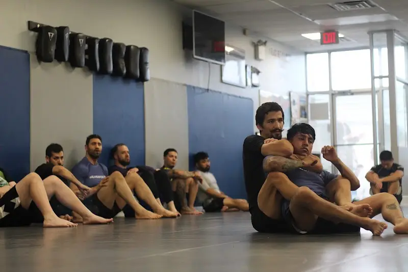 Silver Fox Brazilian Jiu-Jitsu - 561 BJJ Academy - photo 2