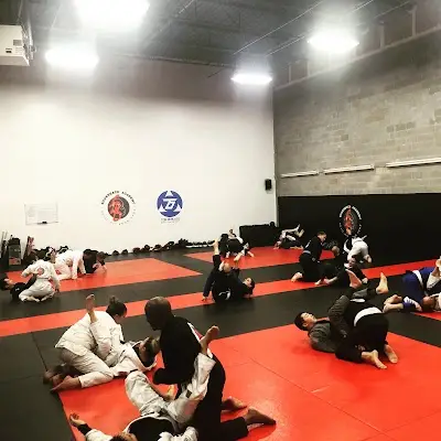 Silverback Academy