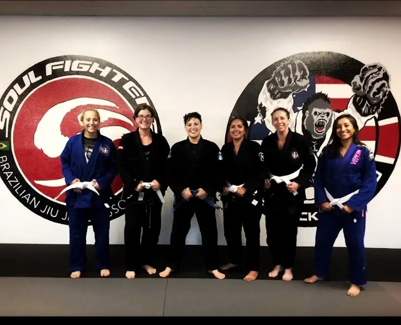 Silverback Jiu-Jitsu BJJ Academy - photo 2