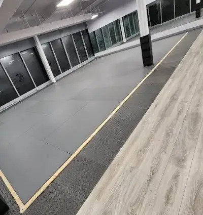 Silverback North York Mixed Martial Arts BJJ Academy - photo 2