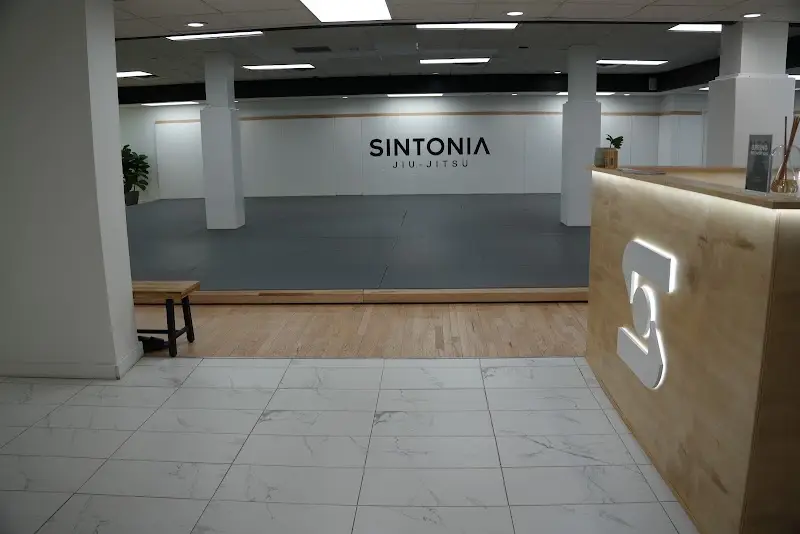 Sintonia Jiu Jitsu