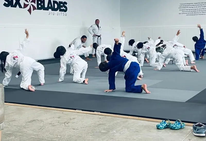 Six Blades Jiu-Jitsu Keller BJJ Academy - photo 2