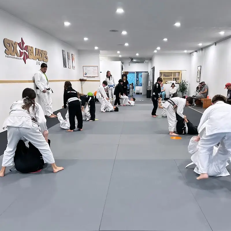 Six Blades Jiu-Jitsu Pacific Beach BJJ Academy - photo 2
