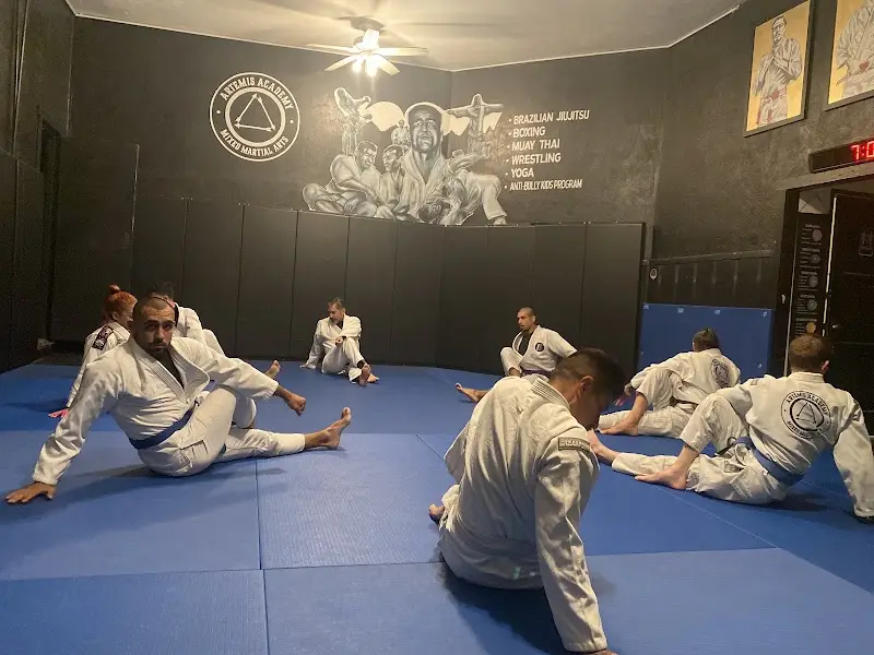 Six Blades JiuJitsu / Artemis Academy BJJ Academy - photo 1