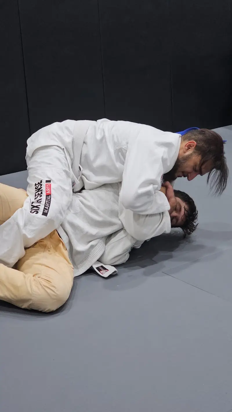 Sixth Sense Martial Arts BJJ Academy - photo 1