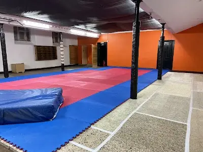 SJA Martial Arts Neath BJJ Academy - photo 3