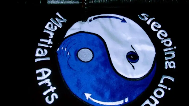 Sleeping Lion Martial Arts