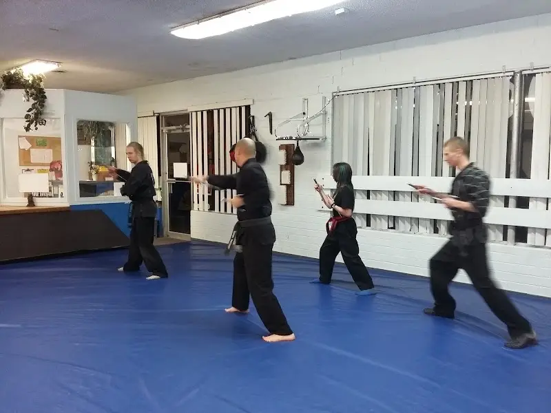 Sleeping Lion Martial Arts BJJ Academy - photo 2