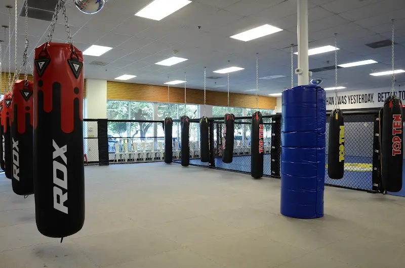 Smiley Academy of Martial Arts/Team Combat Athletix BJJ Academy - photo 1