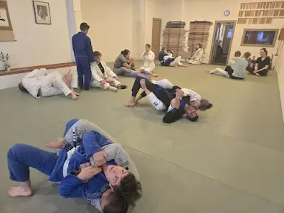 Snowblind BJJ BJJ Academy - photo 1