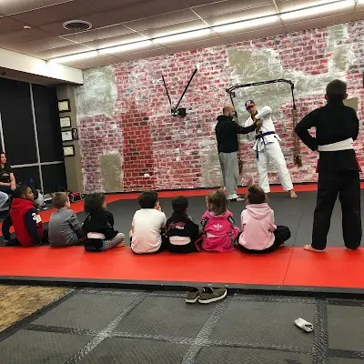 Soaring Eagle Jiu Jitsu BJJ Academy - photo 1