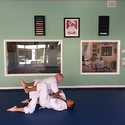 Sochin Martial Arts BJJ Academy - photo 3