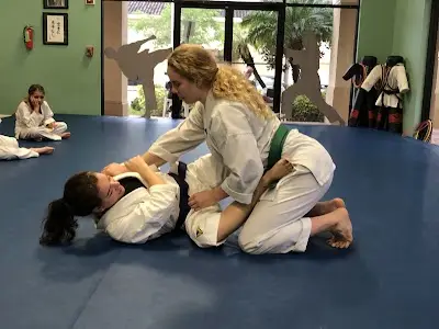 Sochin Martial Arts BJJ Academy - photo 4