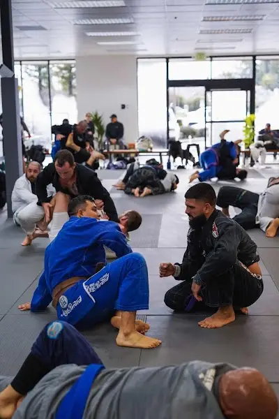 Solidarity Jiu Jitsu