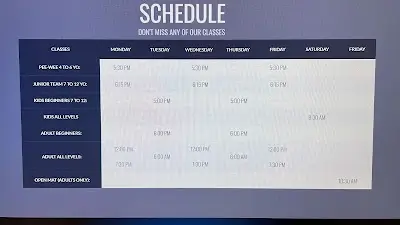 Soneca Brazilian Jiu Jitsu Marlborough BJJ Academy - photo 2