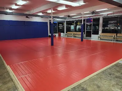 Songer Combat Sports BJJ Academy - photo 1