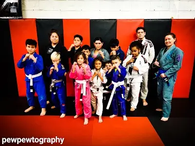 South Side Fight Club BJJ Academy - photo 3