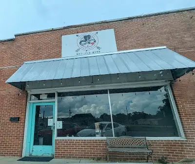 Southeast Jiu-Jitsu BJJ Academy - photo 2