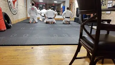 Southwest Academy of Kyokushinkai Karate BJJ Academy - photo 3