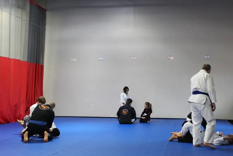 Sparks Martial Arts Academy BJJ Academy - photo 1