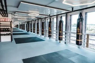 SPARTA Academy Adliswil Kickboxing & MMA BJJ Academy - photo 1