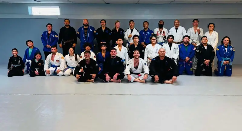 SPI BJJ & Fitness LLC