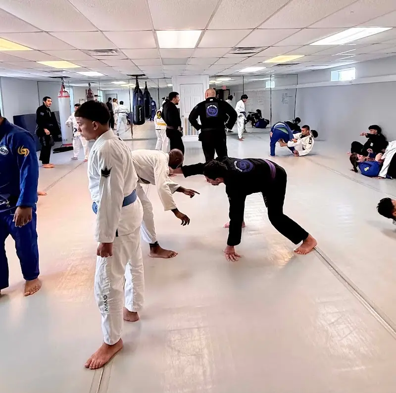 SPI BJJ & Fitness LLC BJJ Academy - photo 1