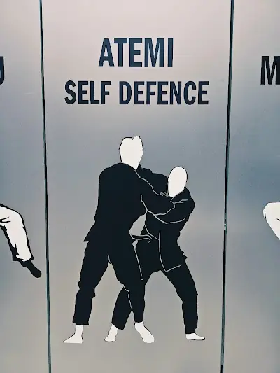 Sports School Tao Berlin BJJ Academy - photo 1